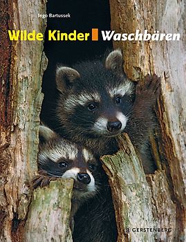 Wilde Kinder - Waschbären