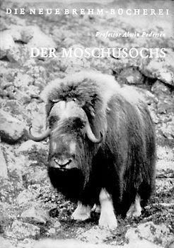 Der Moschusochs