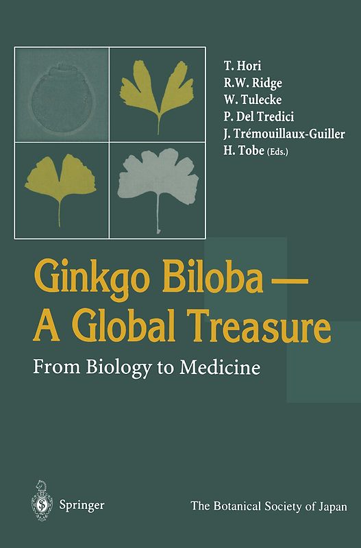 Ginkgo Biloba A Global Treasure
