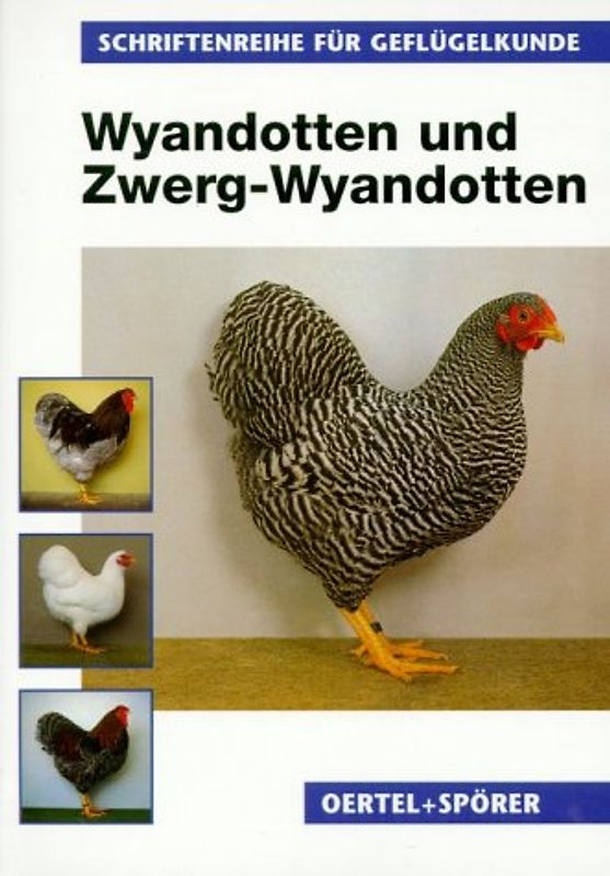 Wyandotten und Zwerg-Wyandotten
