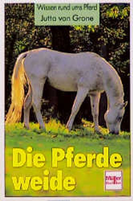 Die Pferdeweide