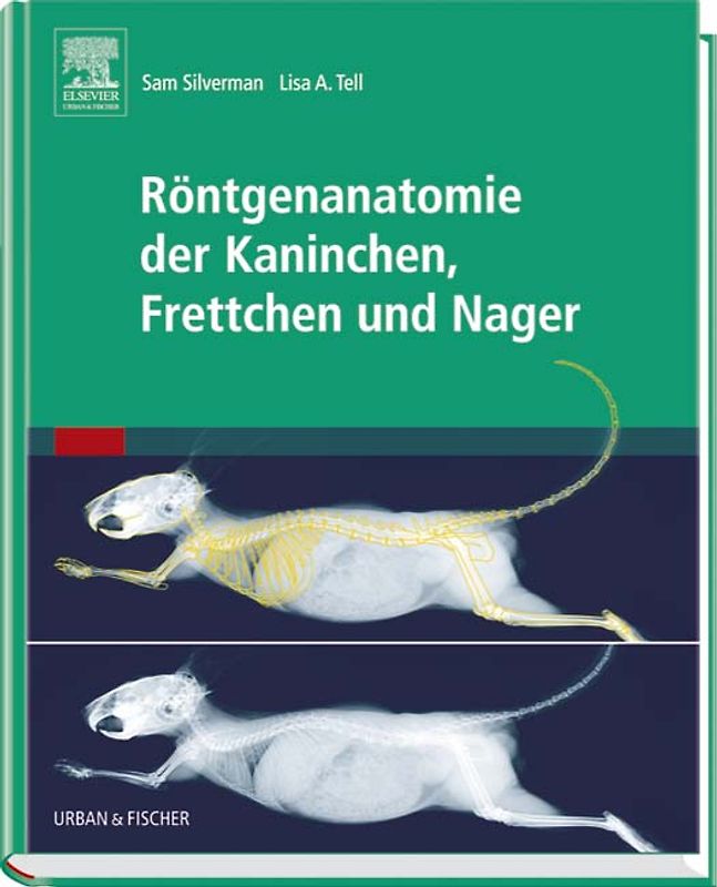 Röntgenanatomie der Kaninchen, Frettchen und Nager