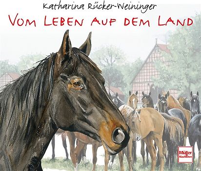 Begegnungen mit Pferden