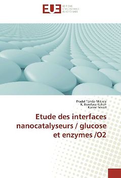Etude des interfaces nanocatalyseurs / glucose et enzymes /O2