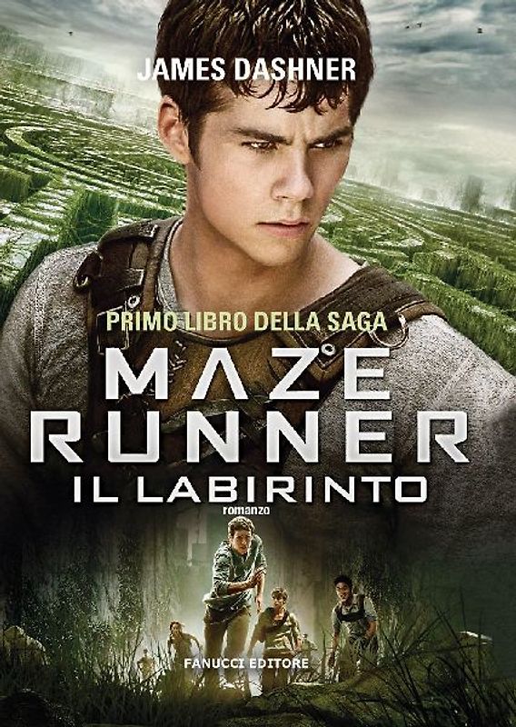 Il labirinto. Maze Runner. Vol. 1