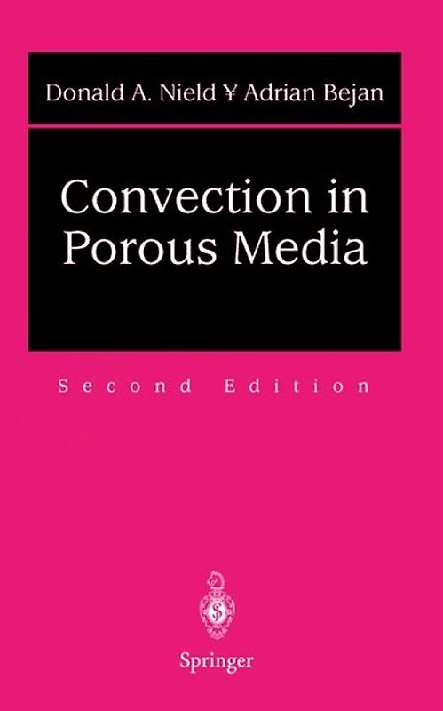 Convection in Porous Media