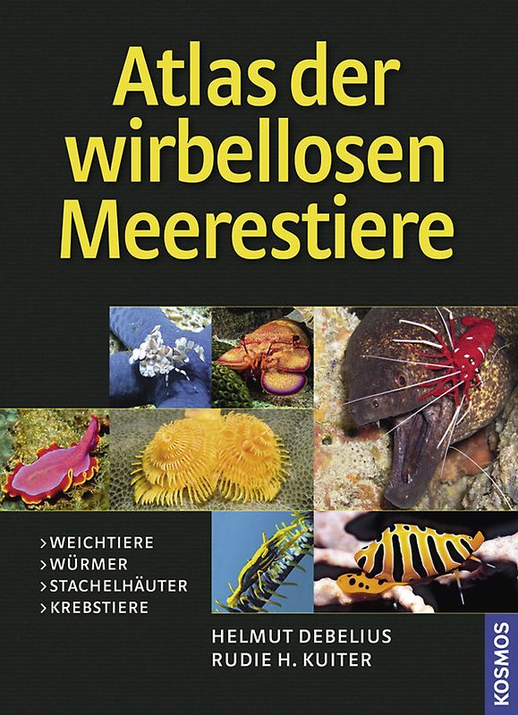 Atlas der Meerestiere - Wirbellose