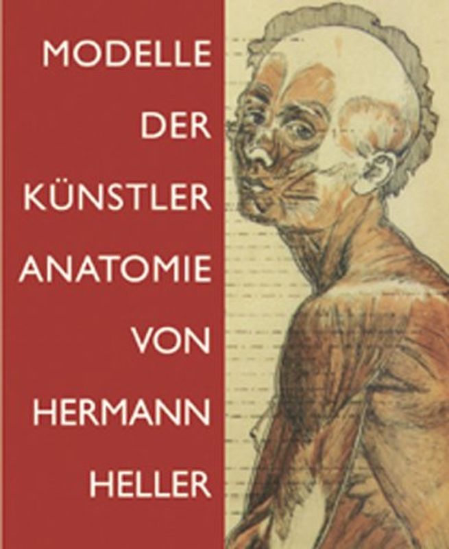 Modelle der Künstler-Anatomie