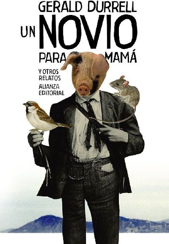 Un novio para mamá y otros relatos