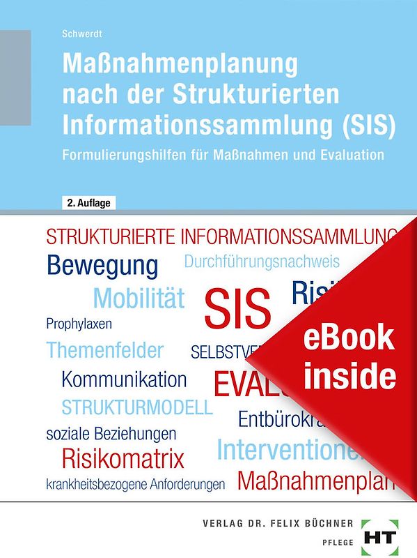 eBook inside: Buch und eBook Maßnahmenplanung nach der Strukturierten Informationssammlung (SIS)