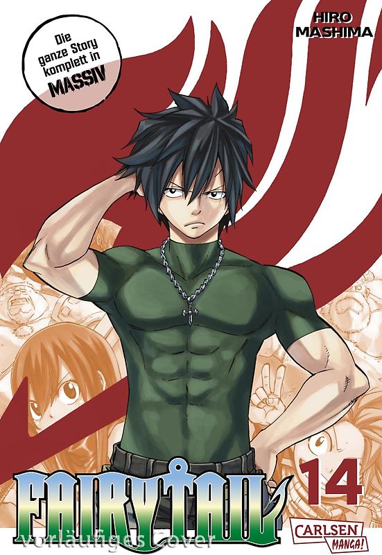 Fairy Tail Massiv 14
