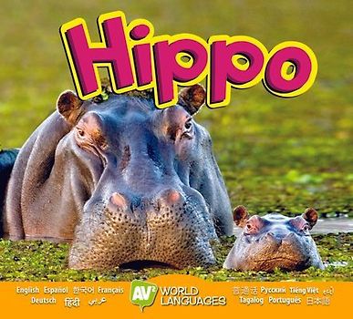 Hippo