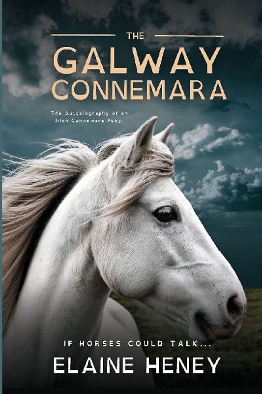 The Galway Connemara | The Autobiography of an Irish Connemara Pony - Dyslexia Friendly