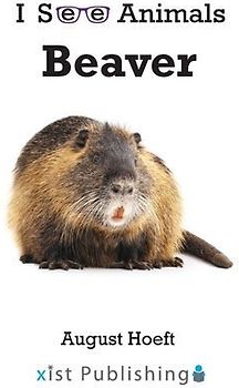Beaver