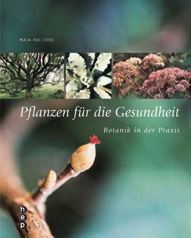 Pflanzen für die Gesundheit