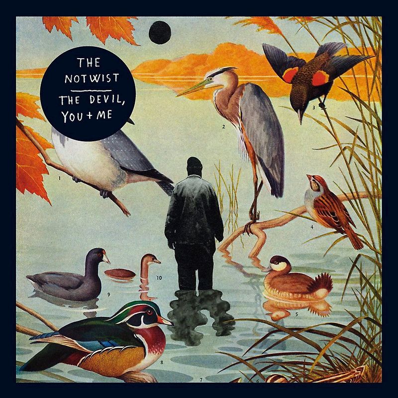 the Notwist - The Devil,You+Me