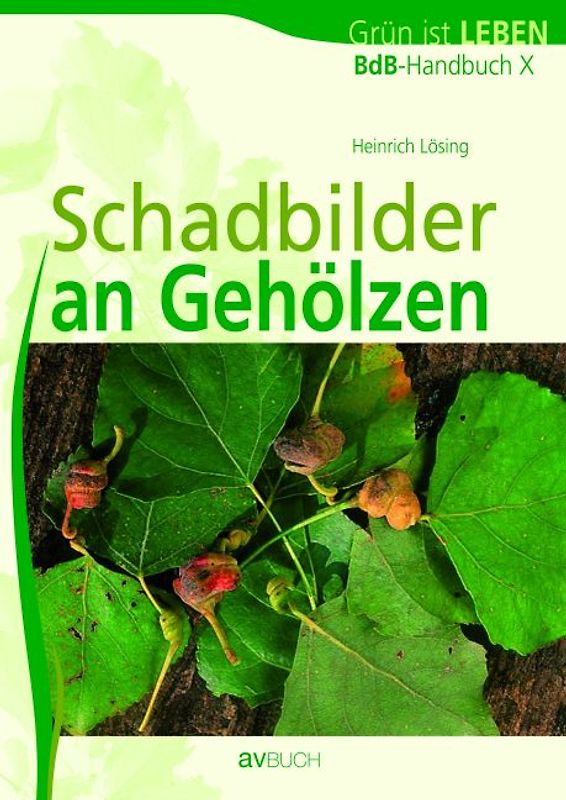 Schadbilder an Gehölzen