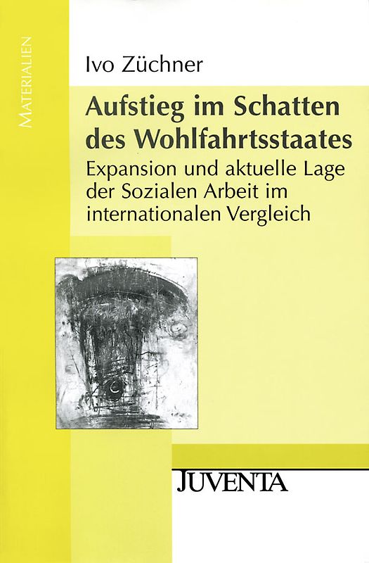 Aufstieg im Schatten des Wohlfahrtsstaates. Expansion und aktuelle Lage der Sozialen Arbeit im internationalen Vergleich