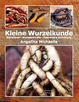 Kleine Wurzelkunde
