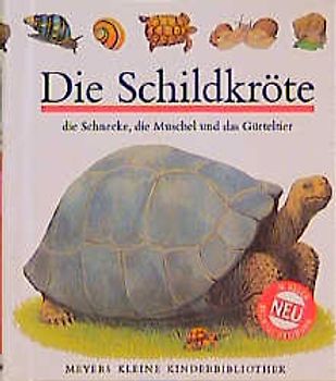 Die Schildkröte