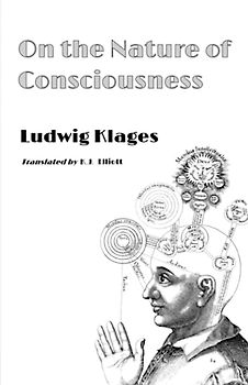 On the Nature of Consciousness