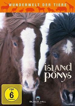 Wunderwelt der Tiere - Island Ponys DVD