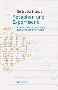 Metapher und Experiment