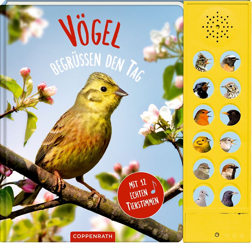Vögel begrüßen den Tag
