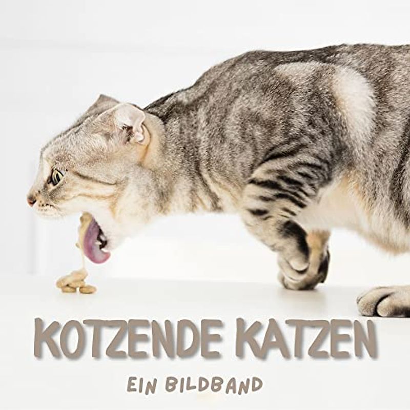 Kotzende Katzen