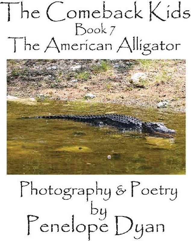 The Comeback Kids, Book 7, The American Alligator