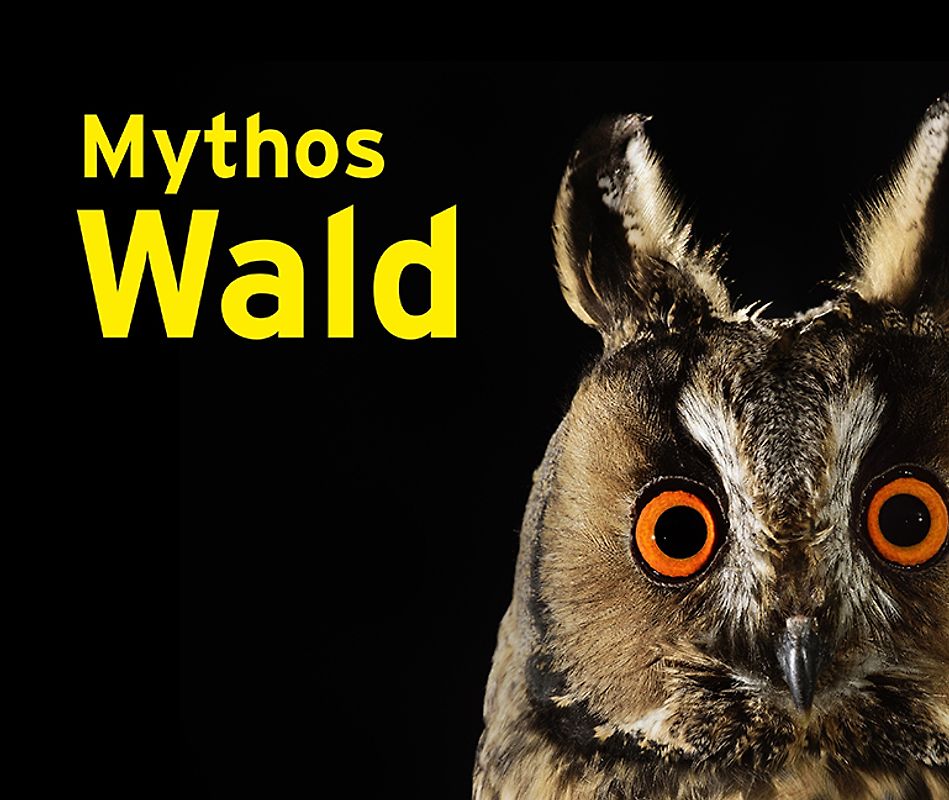 Mythos Wald