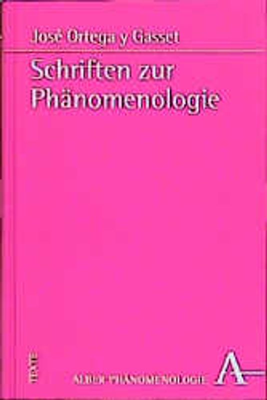 Schriften zur Phänomenologie