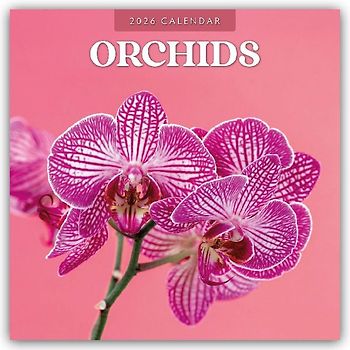 Orchids  2026 Square Wall Calendar