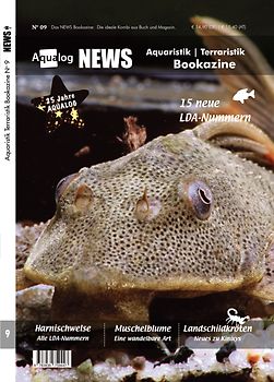 NEWS Bookazine Nr. 9 (Herbst 2020)