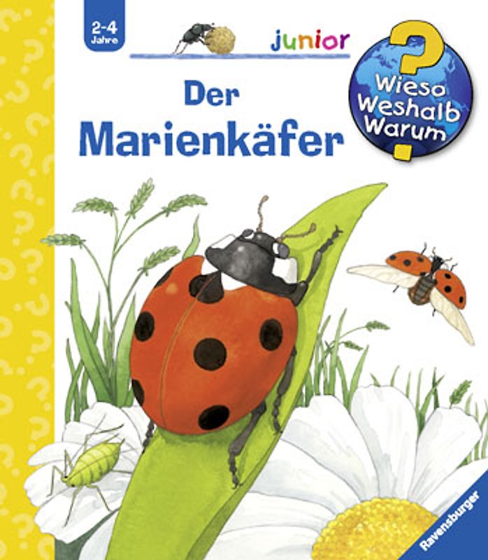 Der Marienkäfer