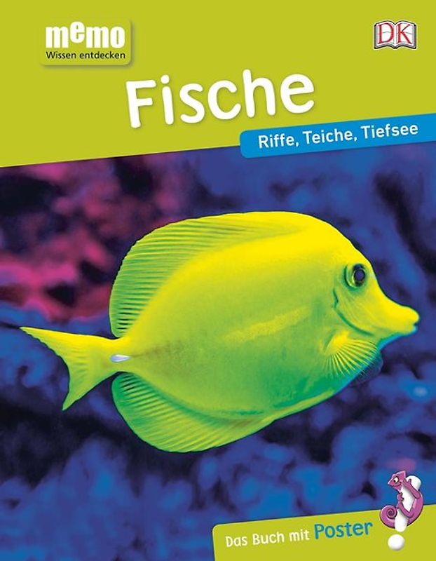 memo Wissen entdecken. Fische