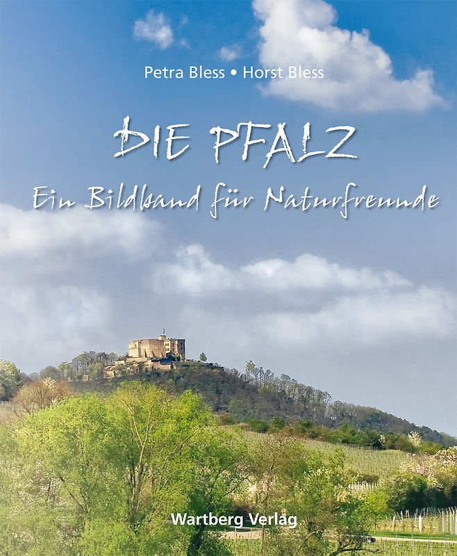 Die Pfalz.