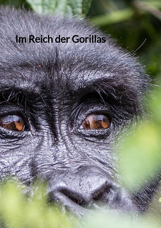 Im Reich der Gorillas