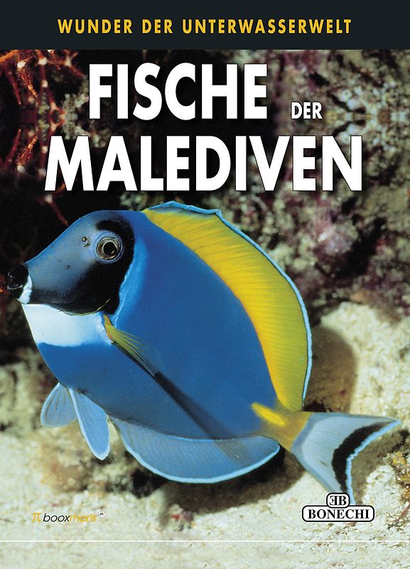 Fische der Malediven