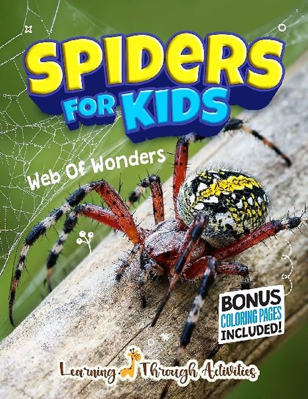 Spiders For Kids