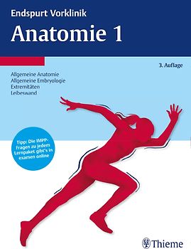 Endspurt Vorklinik: Anatomie 3. Die Skripten fürs Physikum