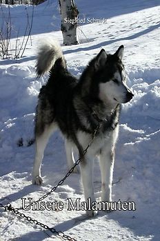 Unsere Malamuten
