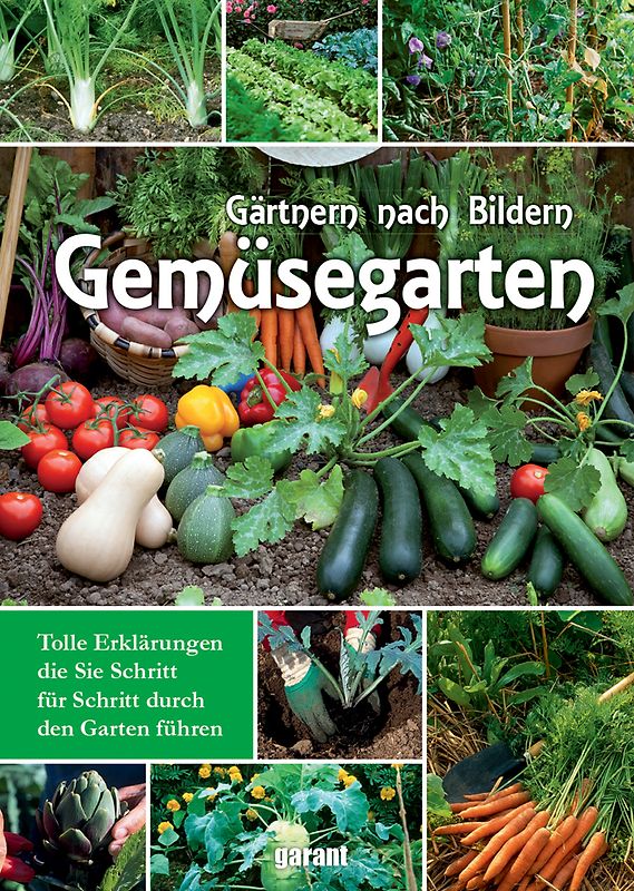 Mein Gemüsegarten