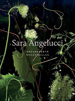 Sara Angelucci: Undergrowth / Broussailles