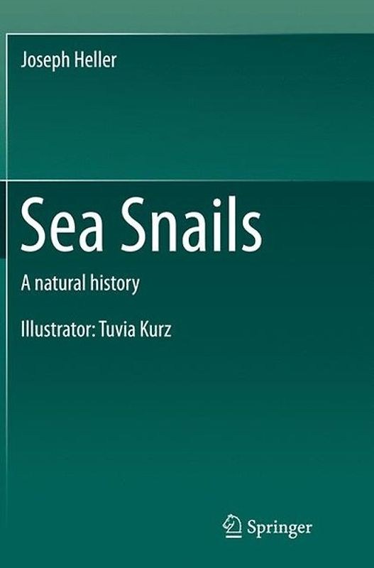 Sea Snails