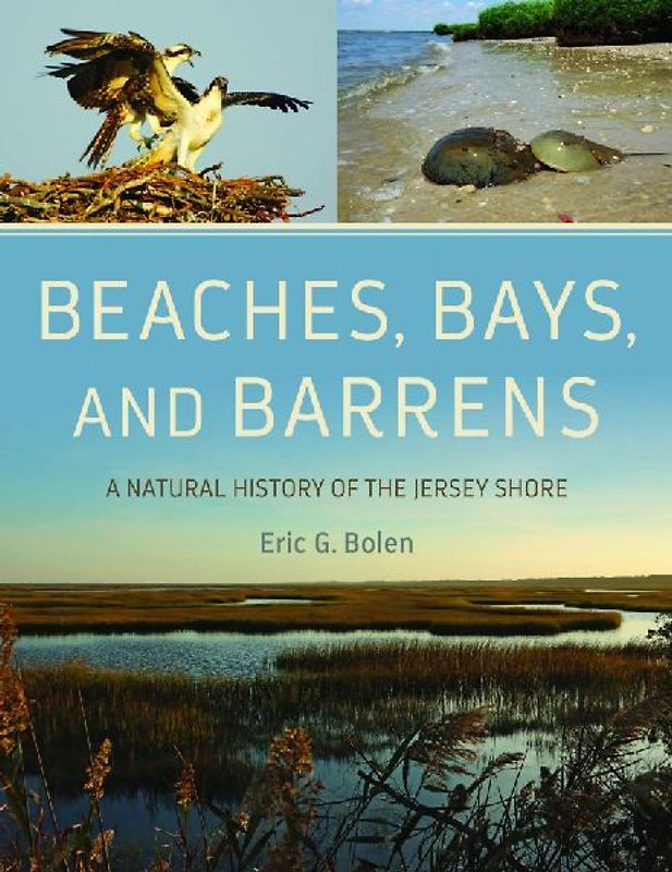 Beaches, Bays, and Barrens