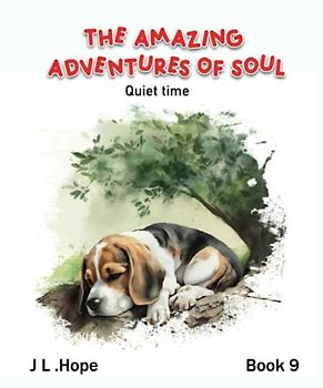 The Amazing Adventures of Soul: Quiet Time