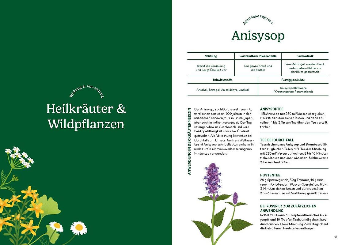Predigt in Stein. Gedanken zum basilikalen Kirchenbau in Südniedersachsen