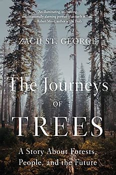 The Journeys of Trees