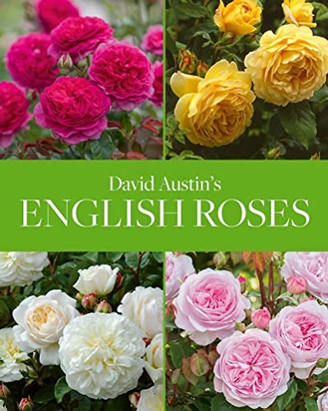 David Austin's English Roses